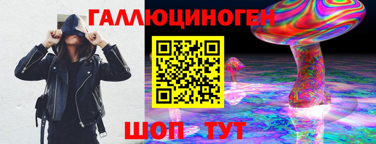 Псилоцибиновые грибы Psilocybine cubensis Павлово