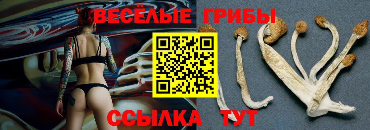 Павлово  Галлюциногенные грибы ЛСД  Вход с VPN 